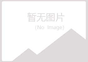 厦门夏岚工程有限公司